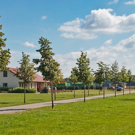 Ferienwohnung Hof Maiweg Alt Schonau Exterior foto